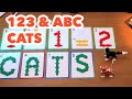 Plus-Plus 123 &amp; ABC Cats