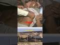 They Were Dying… But Didn’t Know Why (Bhopal Night) #educational #gastragedy #scary