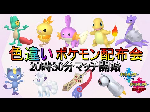 初見さん大歓迎 概要欄必読 ポケモン剣盾孵化色違い配布会 6v孵化余りも Youtube 初見さん大歓迎 概要欄必読 ポケモン剣盾孵化色違い配布会 6v孵化余りも Youtube