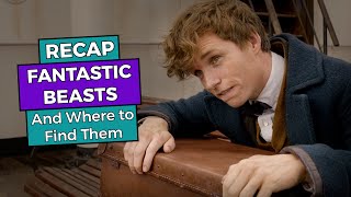 Fantastic Beasts and Where to Find Them RECAP