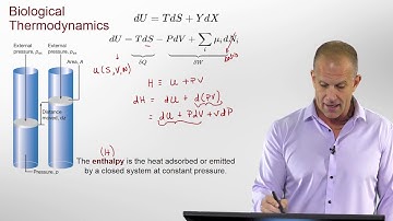 Introduction to Biological Thermodynamics