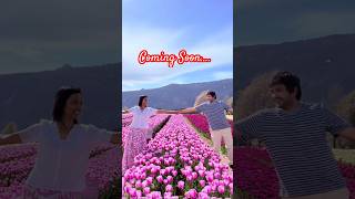 Wait for this… 🌷😍 | Tulip Vlog Coming Soon #tulipfestival #canadavlogs #comingsoon2026 #shorts