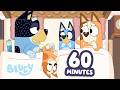 Let Bingo Go! 🤣 | Bluey Morning Moment ☀️ | Jokes with the Family 💙 | Bluey