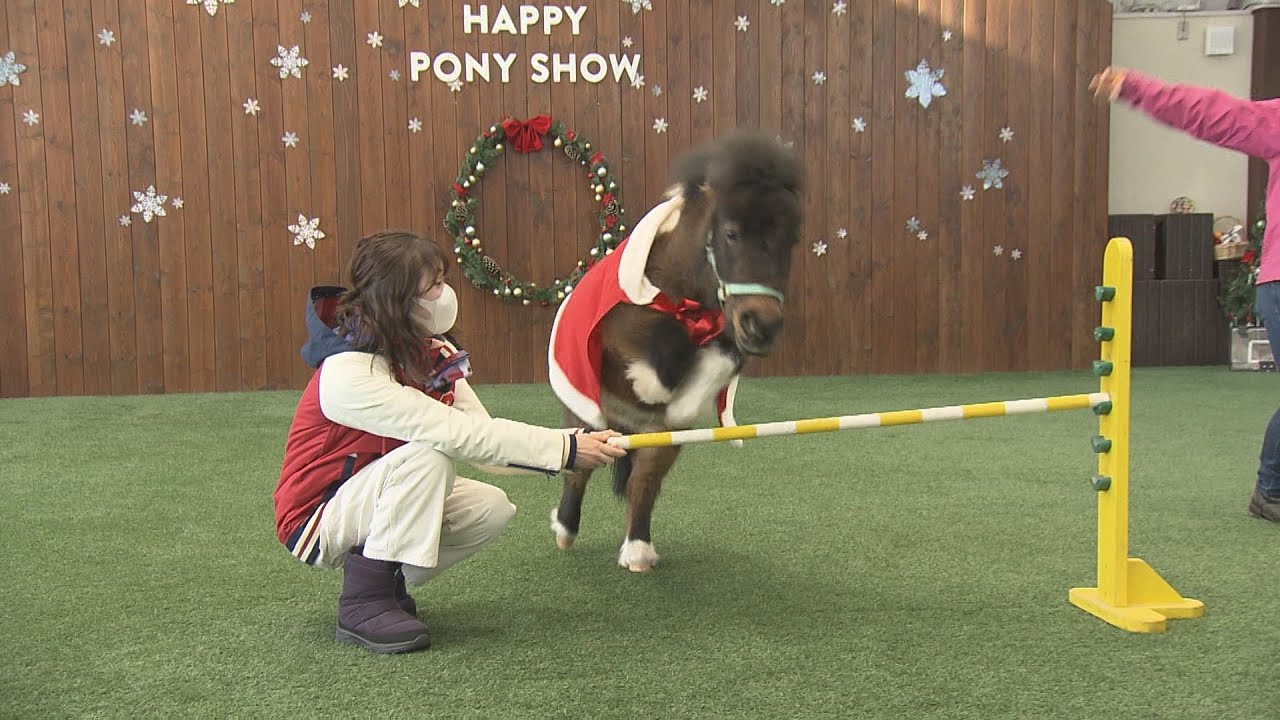 【公式】『冬も遊べるノーザンホースパークへGO!』 LOVE HOKKAIDO #464　2023年1月21日放送