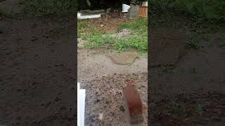 Mamak Akan Selalu Mendoakan Mu Agar Kamu Bahagia Di Surga Aamiin rosminiajaik4mp