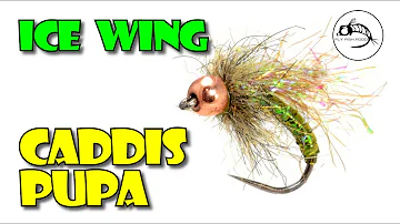 Ice Wing Caddis Pupa by Fly Fish Food