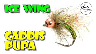 Ice Wing Caddis Pupa by Fly Fish Food