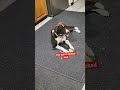 Say Am Done With The Ball Say Am Done With The Ball