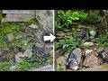 Turning Unusable Land into a DIY Shade Water Garden