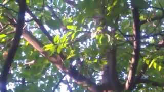 WP 20150630 001
