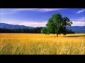Liquid Drum & Bass 1 Hour Mix (No Vocals)