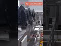 Automatic Tomato Washing Line | Efficient Cleaning for Multi-Color Tomatoes