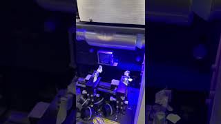 IMG 08821