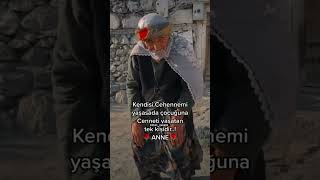 Ilim Hadimi Şfet Öneçıkar