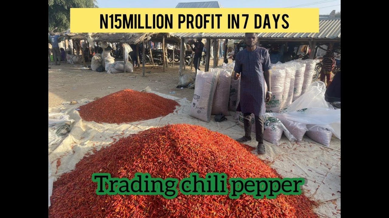 Как он заработал 15 000 000 найр, торгуя сушёным перцем чили всего за 7 дней. Повторите процесс п...