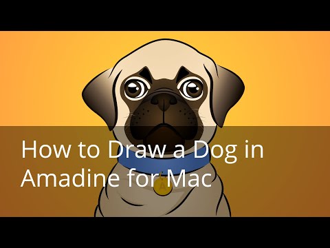 How to Draw a Dog in the Amadine app