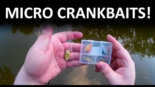 MICRO Crankbait Fishing Lure Challenge!