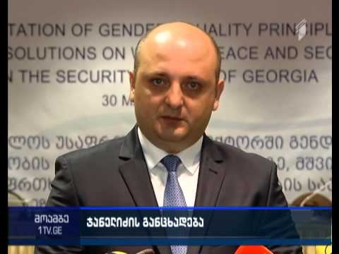 თავდაცვის მინისტრი პარლამენტში მისვლას გეგმავს