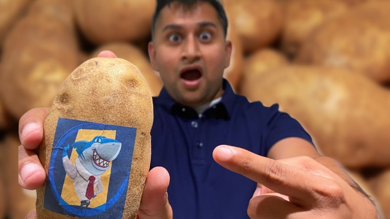 Potato Parcel: What IMPACT a Potato can make