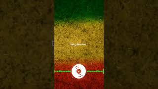 Reggae Unleashed | ? reggae dailyvibrations