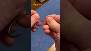 The Northwest special “Egg Loop”! #fishing #fishingknot #tutorial #fishingmethod #knot