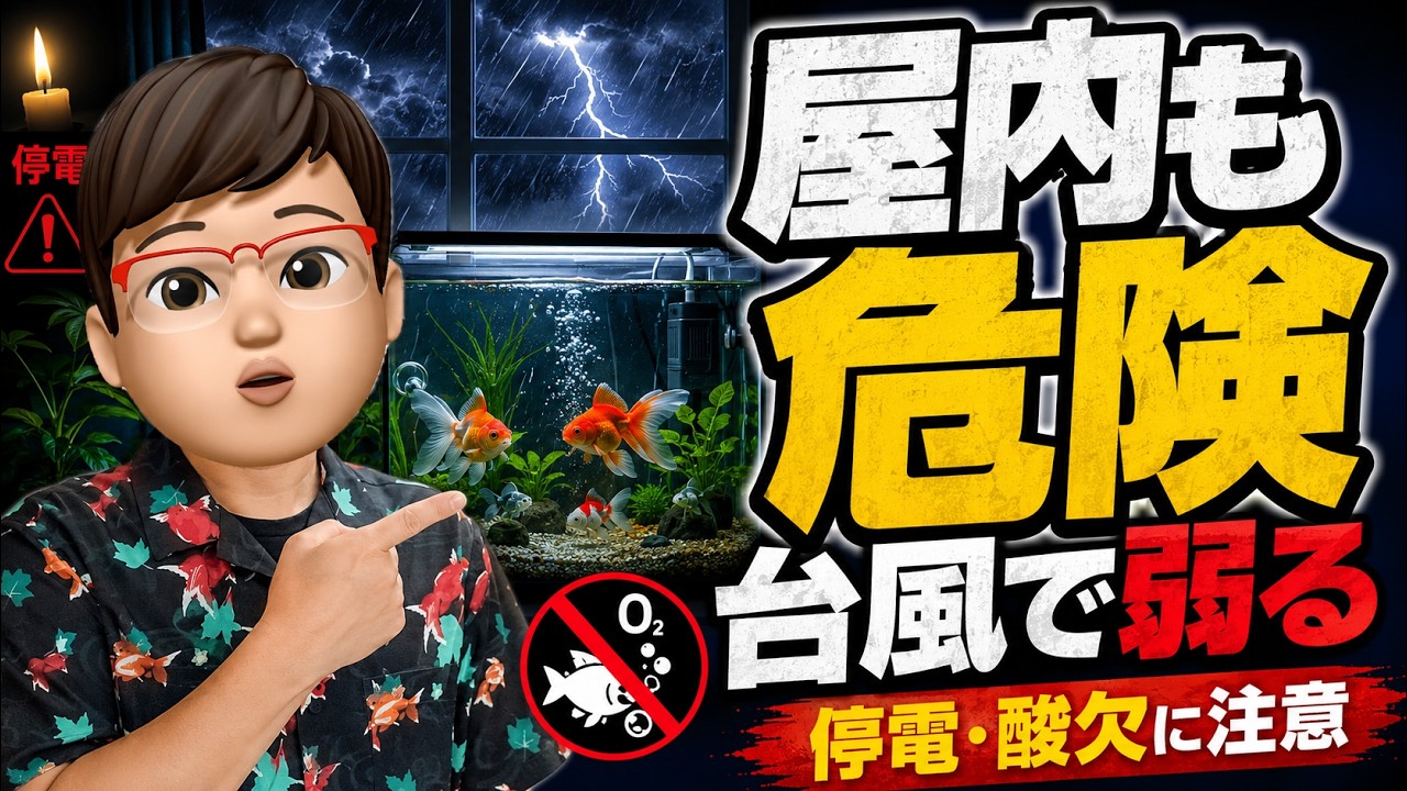 Don't Let Your Guard Down with Indoor Tanks: Why Typhoons Weaken