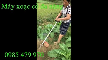 Bán máy xạc cỏ đeo lưng giá rẻ 0961912891