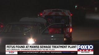 New information on fetus found at sewage treatment plant