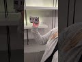 Decorando nosso Escritório: Metrô de New York