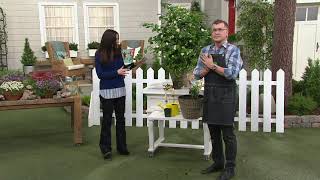 Roberta's 2-Piece Sweetly Scented Philippine Jasmine on QVC