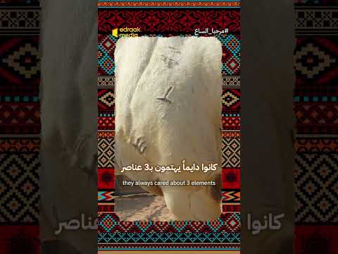 وسم الإبل بالنار