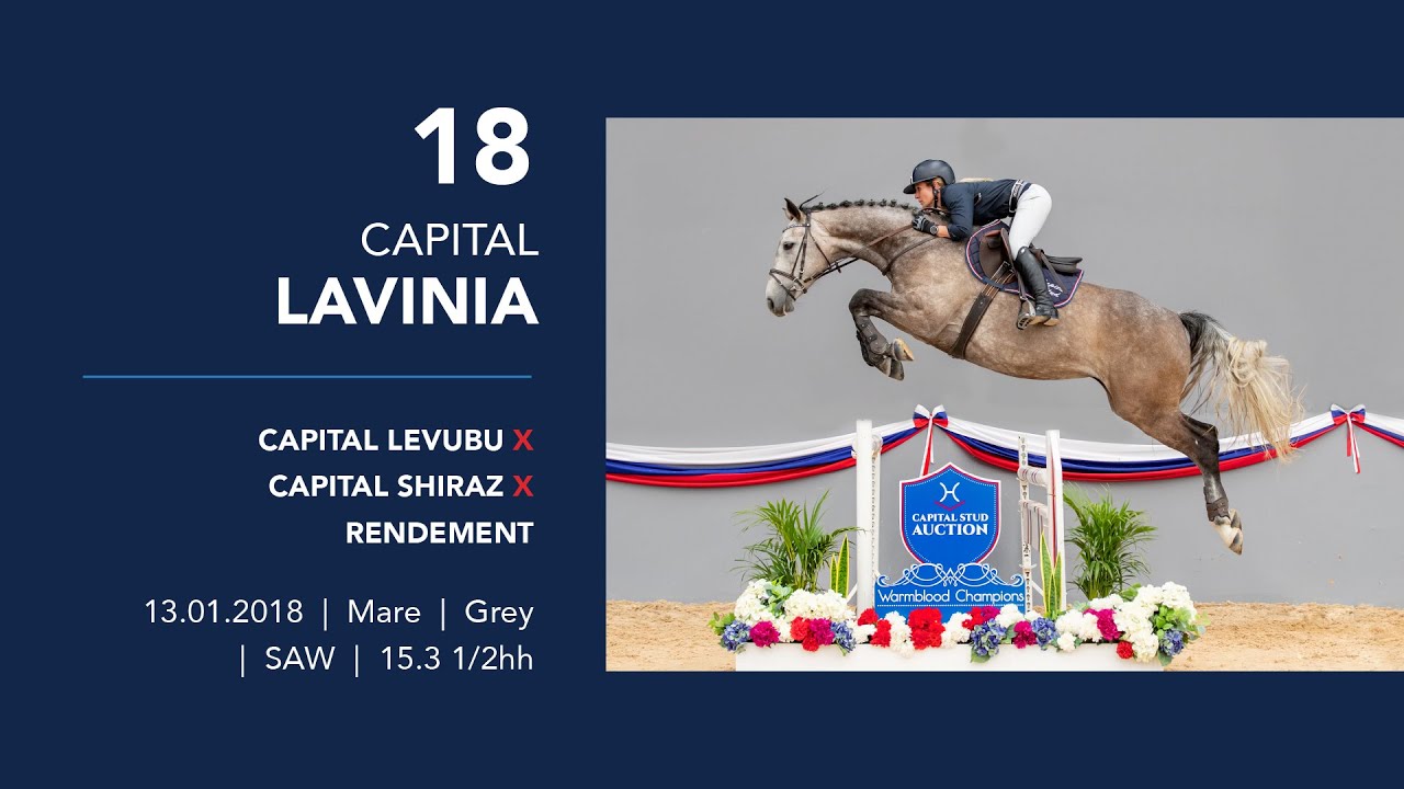 18 CAPITAL LAVINIA
