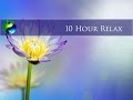 10 hour reiki music meditation music new age music playlist spa music relaxation music  172