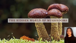 The Hidden World of Mushrooms 🍄 | Nature’s Invisible Kingdom