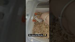 I Shouldnt Have Pranked Him