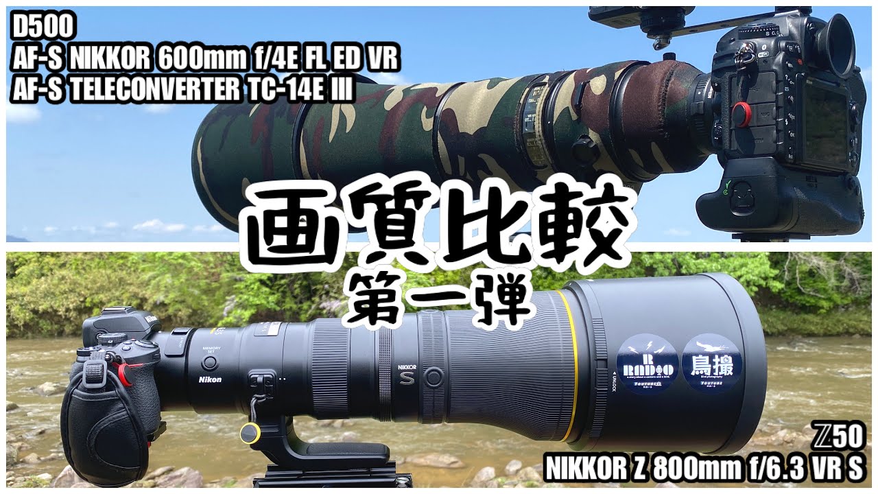 画質比較】『 600mm f/4E FL 』vs『 Z 800mm f/6.3 VR S 』第一弾