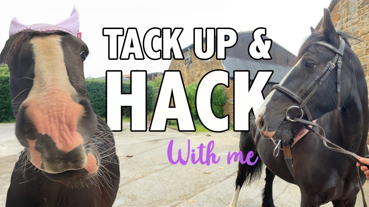 Chloe Does Tack Up and Hack with me YouTube