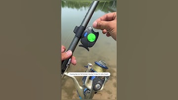 Chuông báo cá điện tử thế hệ mới chuông to báo tín hiệu chuẩn #cauca #fishing #shorts