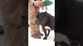 Vegas Invitational Fred Duran