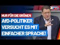 Nur für die Grünen: Stephan Brandner versucht es mit einfacher Sprache! - AfD-Fraktion im Bundestag