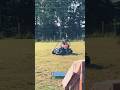 Who Likes Go Karts? #shortsvideo