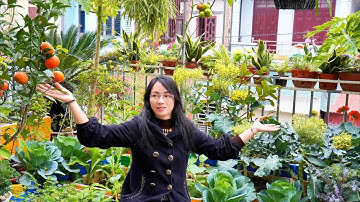 Beste tijd van het jaar om te tuinieren - Groenten en tomaten oogsten - Tuiniertips