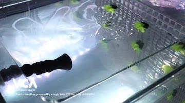 Random Flow Generator™ Nozzle Flow Visualization