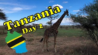 Tanzania Safari: Day 2 - Serengeti National Park