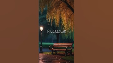 كلا اذا بلغت التراقي ❤ القارئ الشيخ معاذ صيام ❤