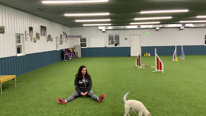 Why Super Skills Lesson 1