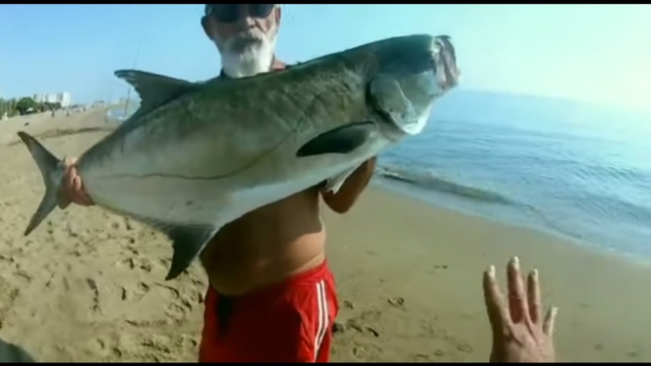 Canlı yemle akya liça balık avı Mersin