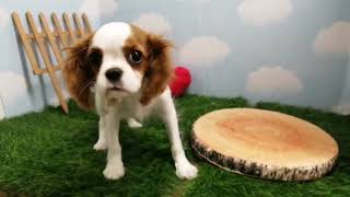 fc972308 f4e3 498d a756 31c526137a9c