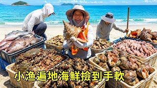荒島趕海豐收的一天，遍地海鮮撿到手軟，現場幾人吃到飽 【漁小仙】