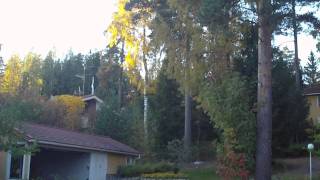 Walkera Genius CP  3-axial Gyro mode test...